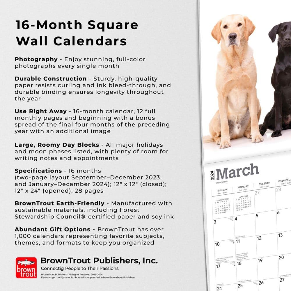 Labrador Retriever 2024 Wall Calendar Alternate Image 4