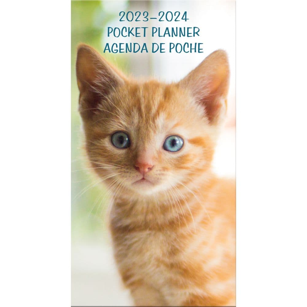 Trends International Kittens Bilingual Pkt 2023 Planner (Fr)