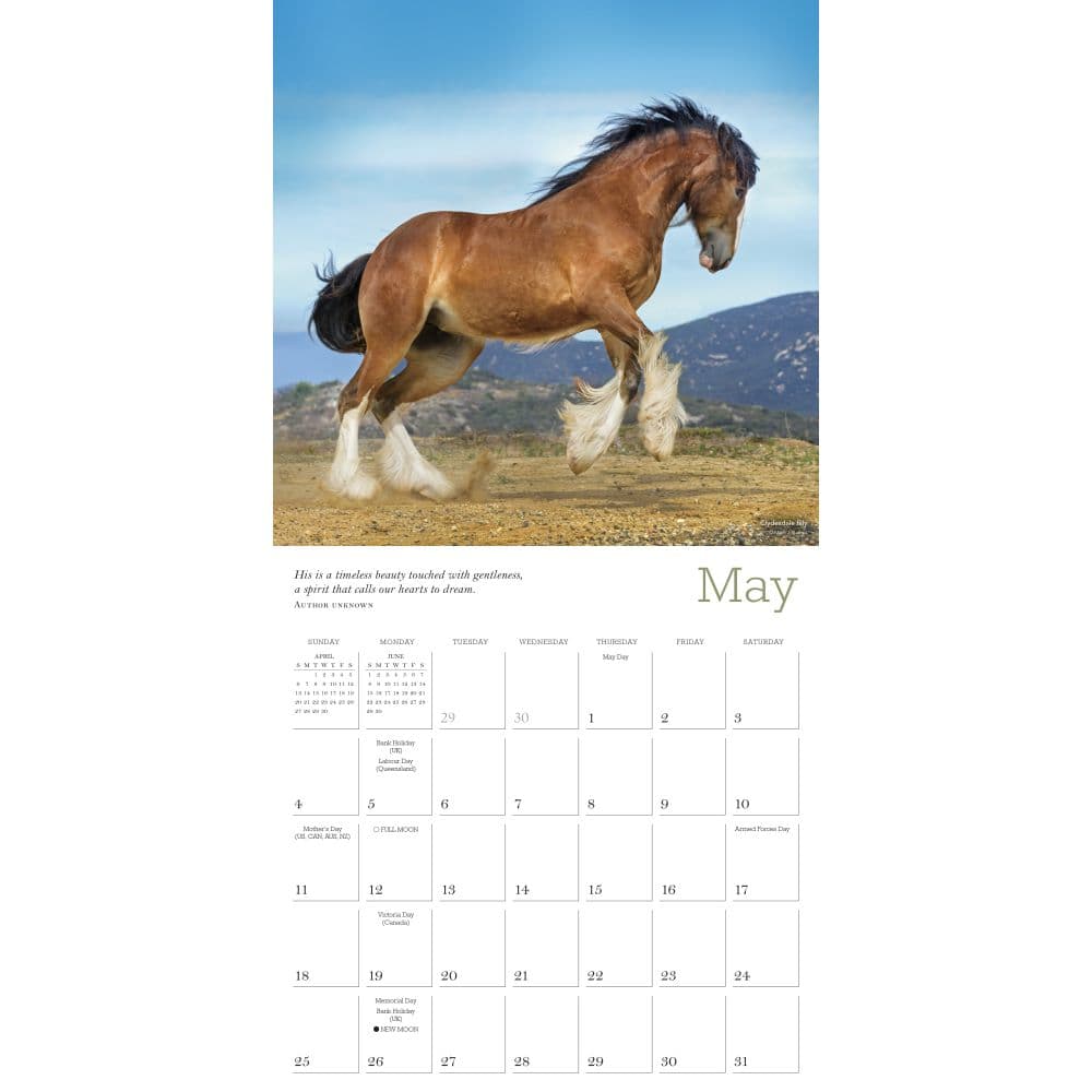 The Majestic Horse 2025 Wall Calendar