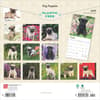 image Pug Puppies 2025 Wall Calendar First Alternate Image