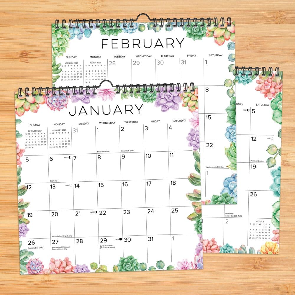 2025 Succulents Calendar