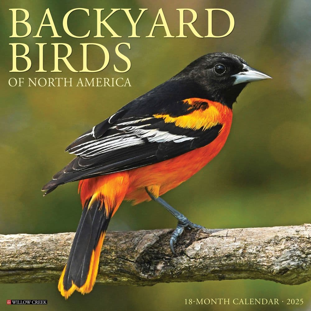 Birds Backyard 2025 Wall Calendar Main Product Image width=&quot;1000&quot; height=&quot;1000&quot;