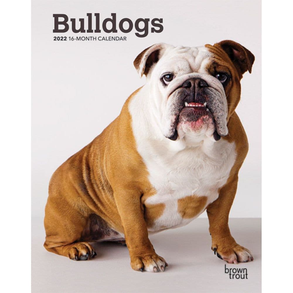 Bulldogs 2022 Engagement - Calendars.com