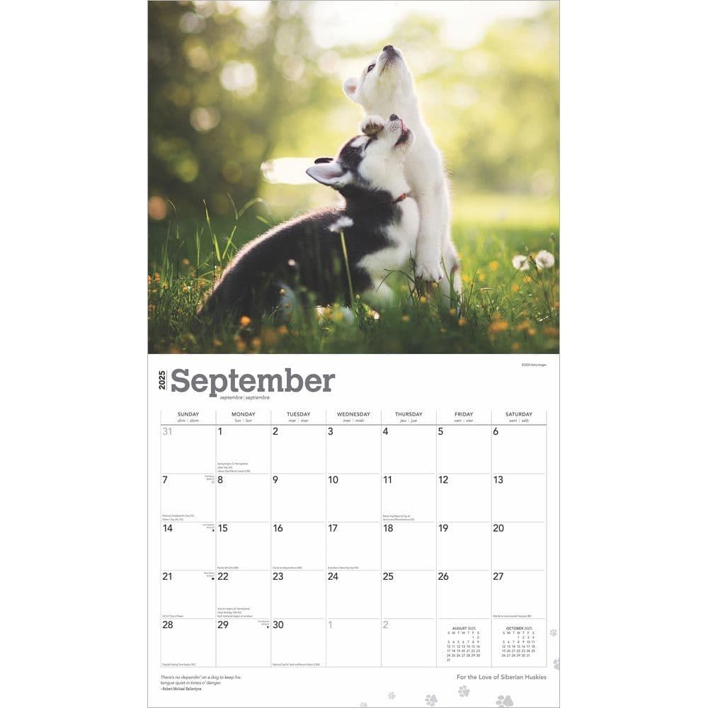 Siberian Huskies Deluxe 2025 Wall Calendar Third Alternate Image