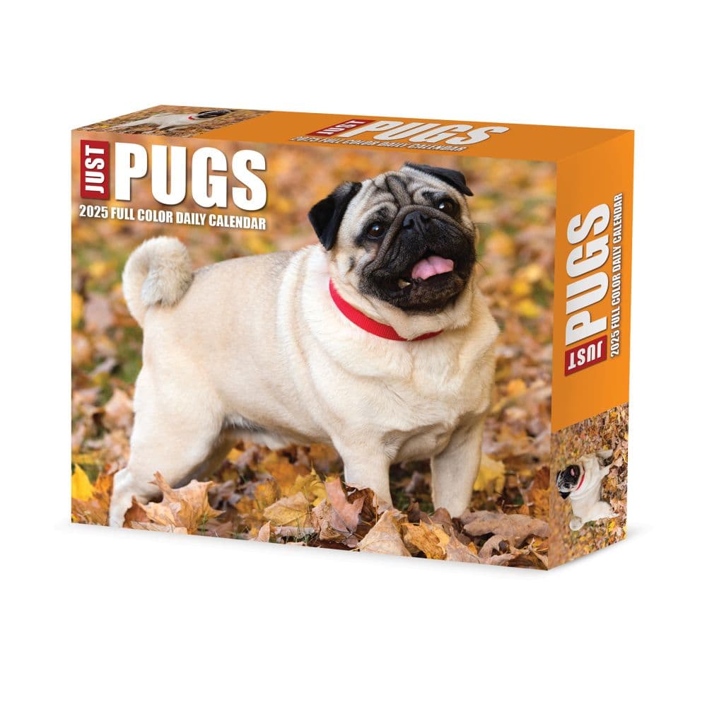 Just Pugs 2025 Desk Calendar Main Product Image