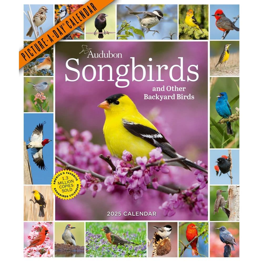 Audubon 365 Songbirds 2025 Wall Calendar - Calendars.com