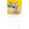 image Hamsters 2025 Wall Calendar Third Alternate Image width=&quot;1000&quot; height=&quot;1000&quot;