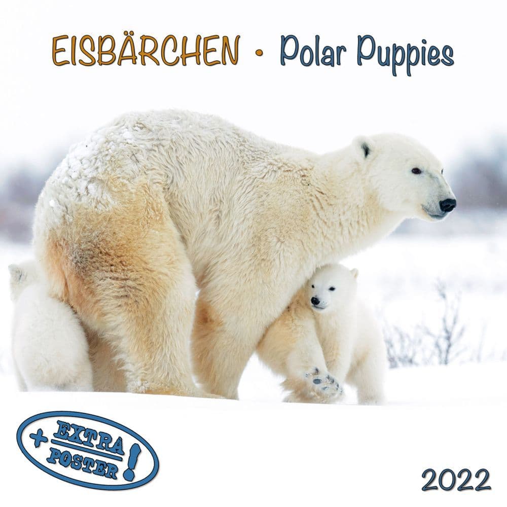 Polar Bears Tushita 2022 Small Wall Calendar