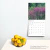 image Kentucky Wild and Scenic 2025 Wall Calendar Fourth Alternate Image