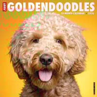 image Just Goldendoodles 2026 Wall Calendar Main Image