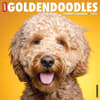 image Just Goldendoodles 2026 Wall Calendar Main Image