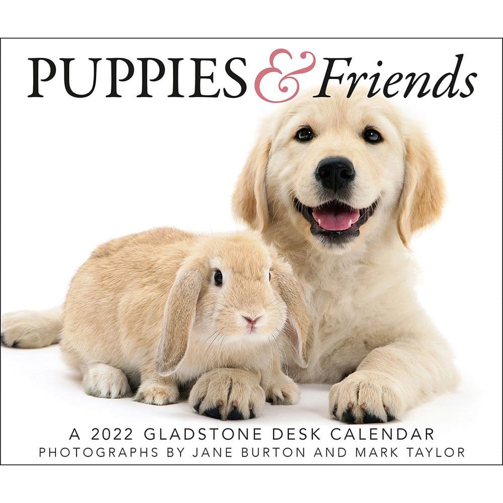 Puppies And Friends 2022 Desk Calendar