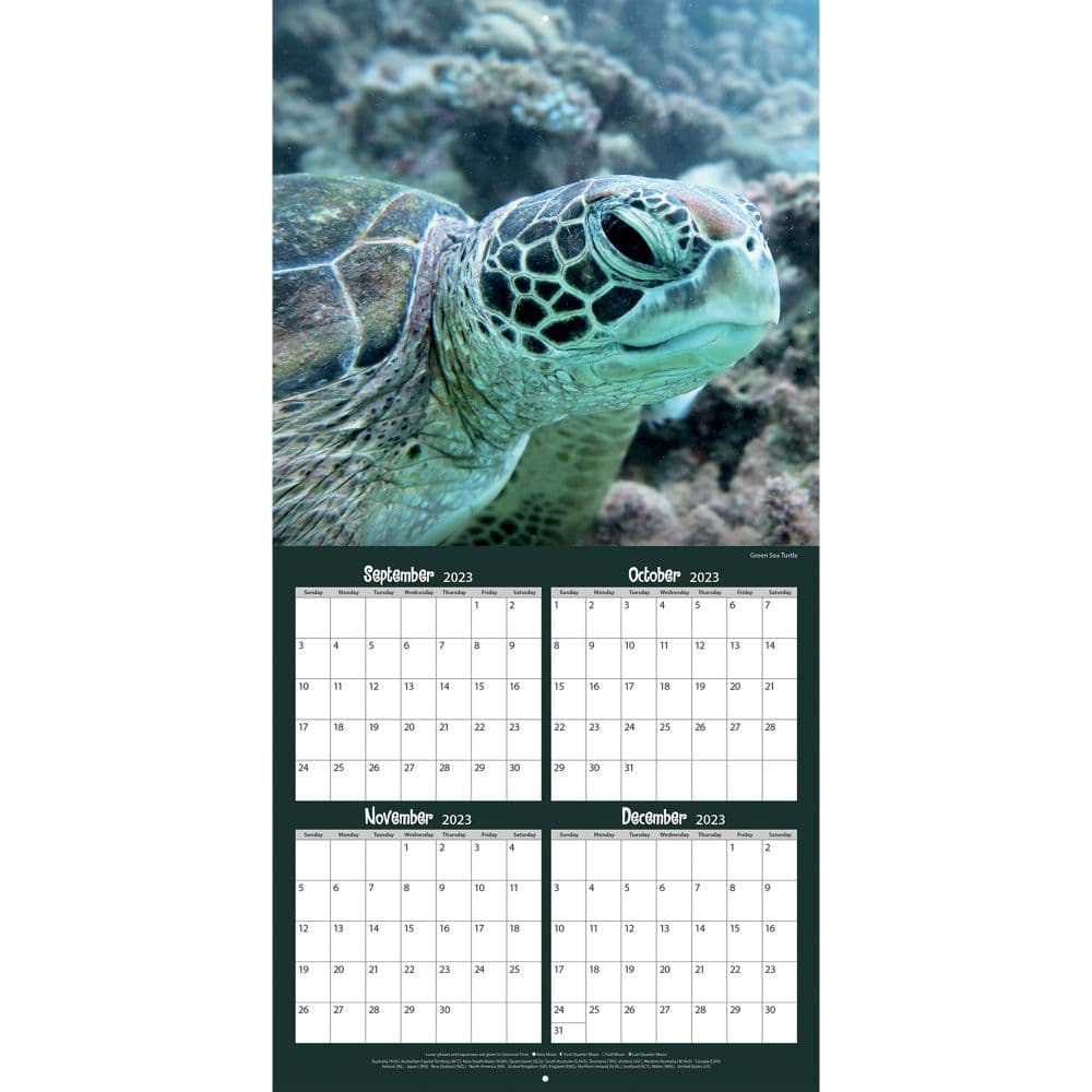 Coral Reef 2024 Wall Calendar