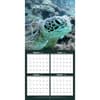 image Coral Reef 2024 Wall Calendar Third Alternate 
Image width=&quot;1000&quot; height=&quot;1000&quot;