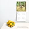 image Monster Bucks Plato 2025 Wall Calendar Fourth Alternate Image