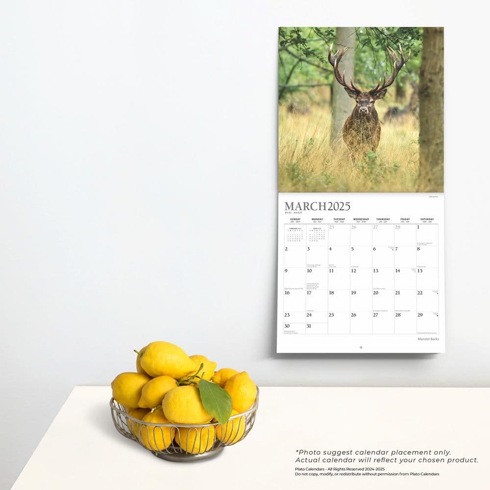 Monster Bucks Plato 2025 Wall Calendar Fourth Alternate Image