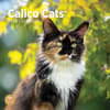 image Calico Cats 2024 Wall Calendar