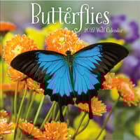 image Butterflies Photo 2027 Wall Calendar
