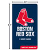 image MLB Boston Red Sox 17 Month 2025 Pocket Planner Fifth Alternate Image