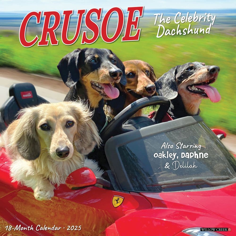 Crusoe the Celebrity Dachshund 2025 Wall Calendar