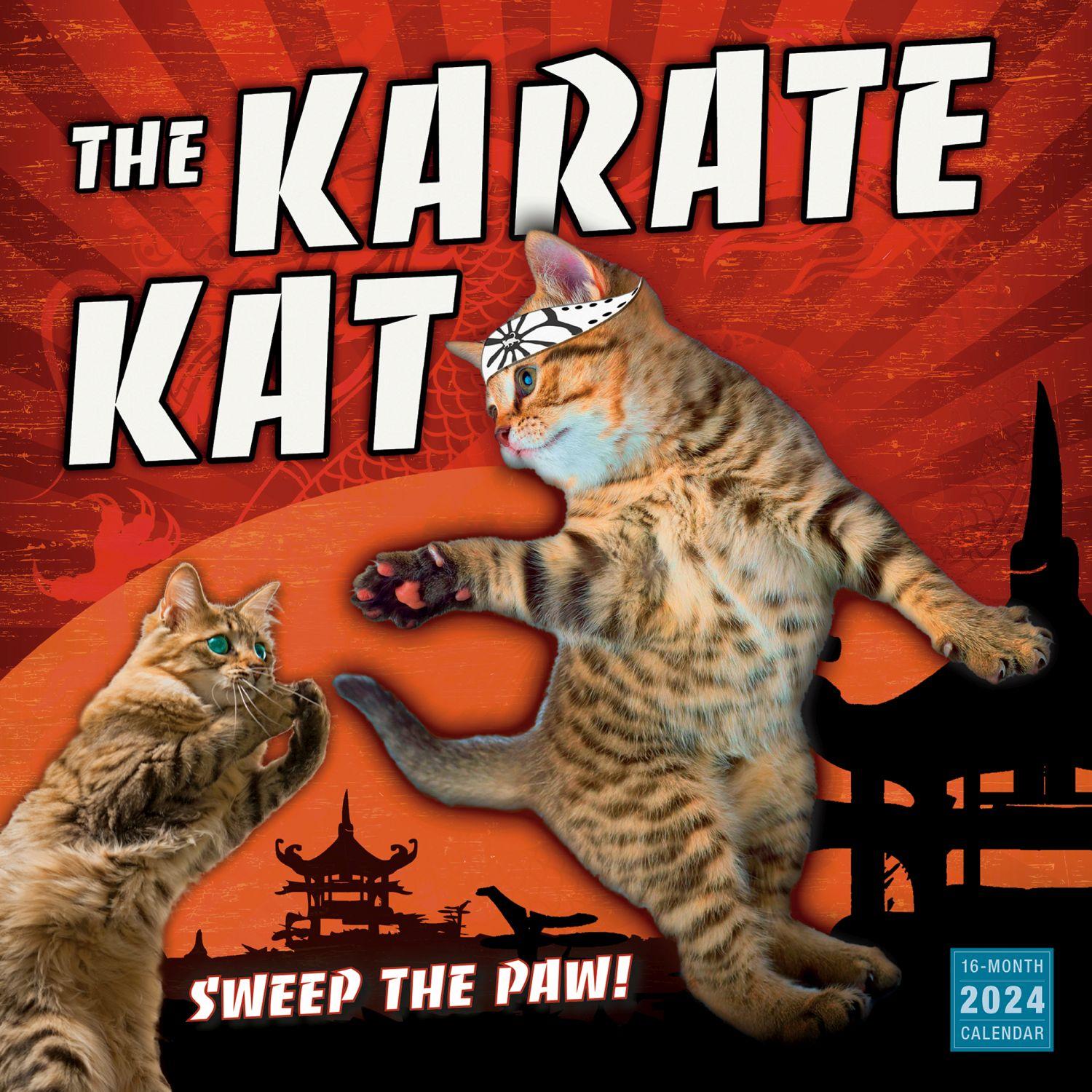Karate Kat 2025 Wall Calendar