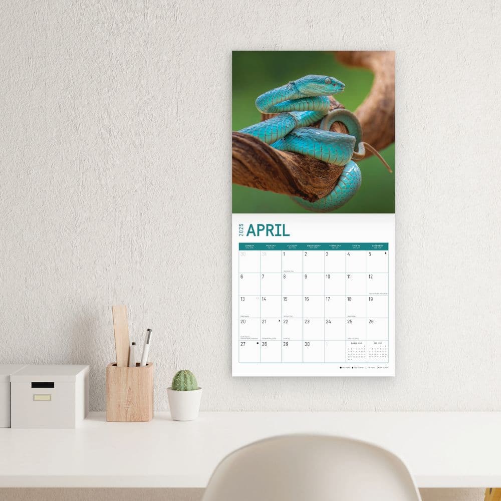 Snakes 2025 Wall Calendar Third Alternate Image width=&quot;1000&quot; height=&quot;1000&quot;