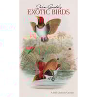 image Exotic Birds 2027 Vertical Wall Calendar Main Image
