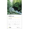 image National Parks NG 2024 Wall Calendar June