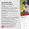 image Border Collie Puppies 2025 Mini Wall Calendar Fifth Alternate Image width=&quot;1000&quot; height=&quot;1000&quot;