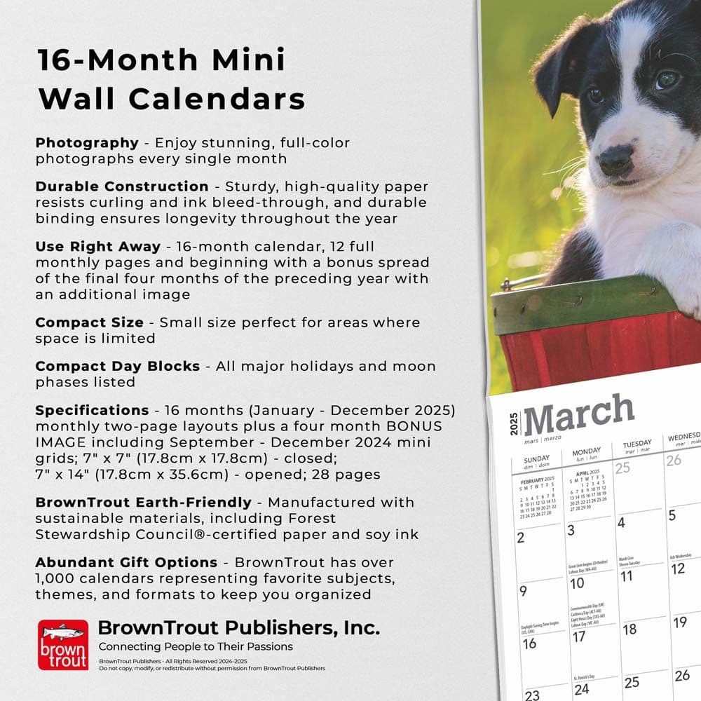 Border Collie Puppies 2025 Mini Wall Calendar Fifth Alternate Image width=&quot;1000&quot; height=&quot;1000&quot;