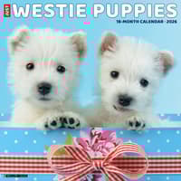 image Just Westie Puppies 2026 Wall Calendar Main Image