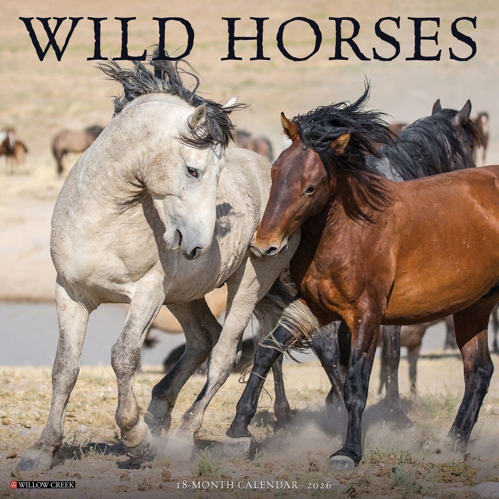 Wild Horses 2026 Wall Calendar   Main Image
