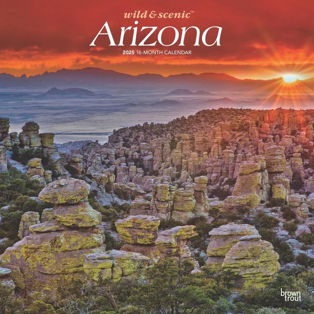 Arizona Wild and Scenic 2025 Wall Calendar