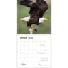 image Apex Predators 2025 Wall Calendar Second Alternate Image width=&quot;1000&quot; height=&quot;1000&quot;