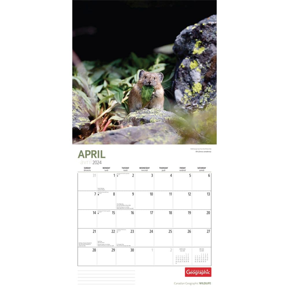 Wildlife 2024 Wall Calendar April