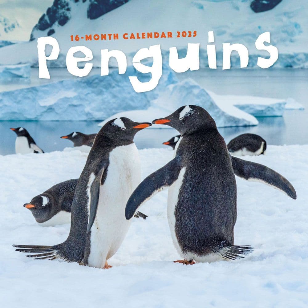image Penguins 2025 Wall Calendar  Main Image