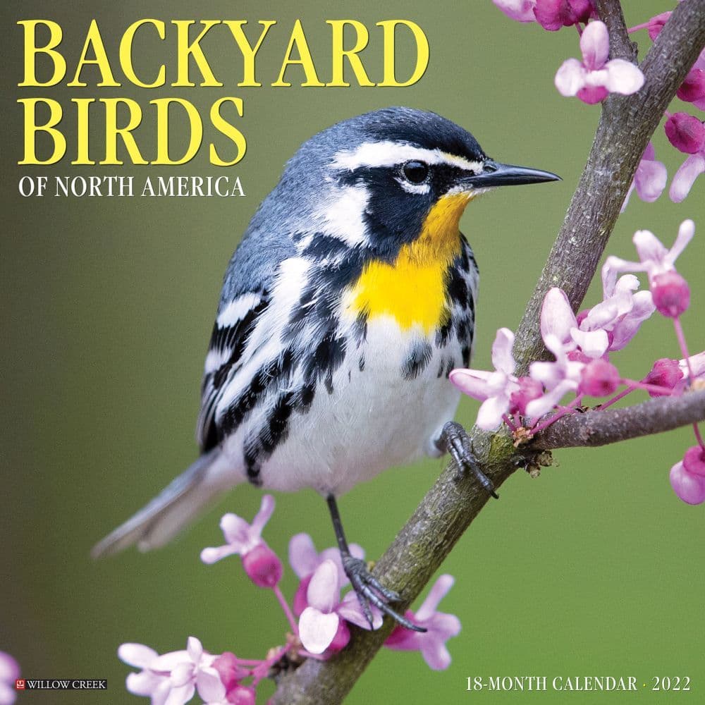 Birds Backyard 2022 Wall Calendar