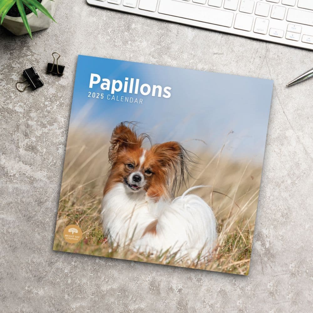 Papillons 2025 Wall Calendar Fourth Alternate Image