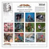 image Rocky Mountain Birds 2026 Wall Calendar First Alternate Image