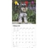 image Schnauzers 2025 Wall Calendar Second Alternate Image