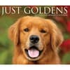 image Just Goldens 2025 Desk Calendar  Main Image