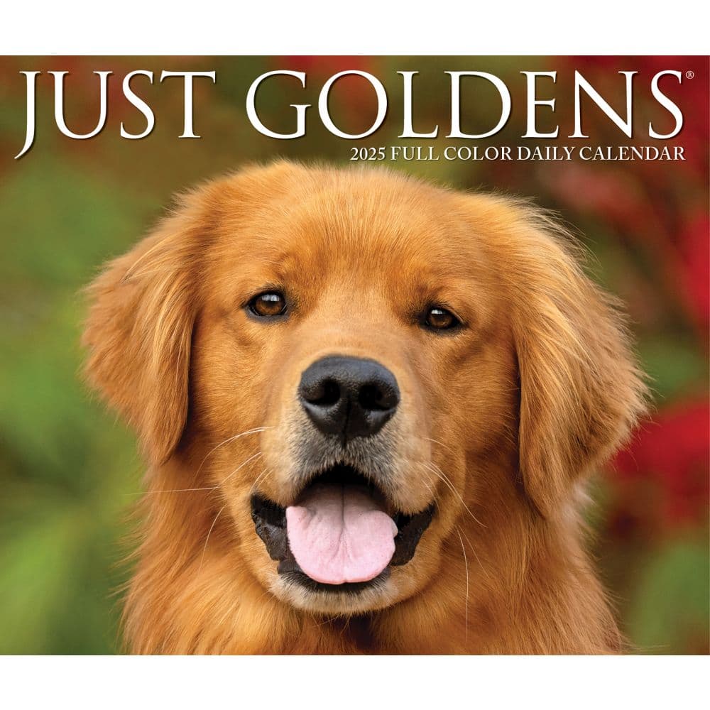 Just Goldens 2025 Desk Calendar