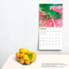 image Frogs 2024 Wall Calendar Third Alternate Image width=&quot;1000&quot; height=&quot;1000&quot;