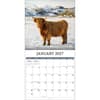 image Highland Cows Photo 2027 Wall Calendar