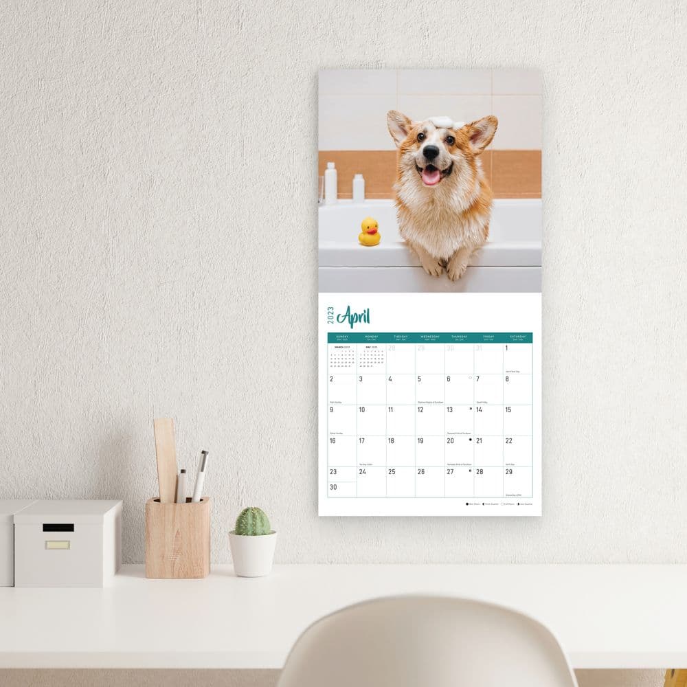 Dogs-2023-Wall-Calendar - Calendars.com