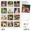 image Wheaten Terriers Soft Coated 2024 Wall Calendar First Alternate Image width=&quot;1000&quot; height=&quot;1000&quot;