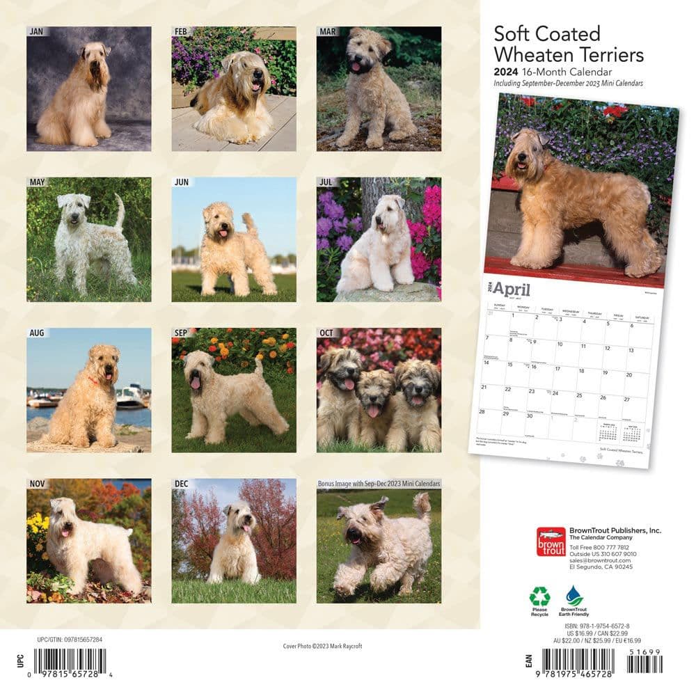 Wheaten Terriers Soft Coated 2024 Wall Calendar First Alternate Image width=&quot;1000&quot; height=&quot;1000&quot;