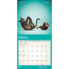 image Yoga Cats Together 2024 Wall Calendar Second Alternate Image width=&quot;1000&quot; height=&quot;1000&quot;