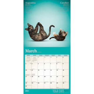 2024 Cat Yoga Calendar –