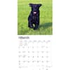 image Black Lab Retriever Puppies 2024 Wall Calendar Second Alternate Image width=&quot;1000&quot; height=&quot;1000&quot;
